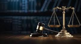 Apex Legal Network